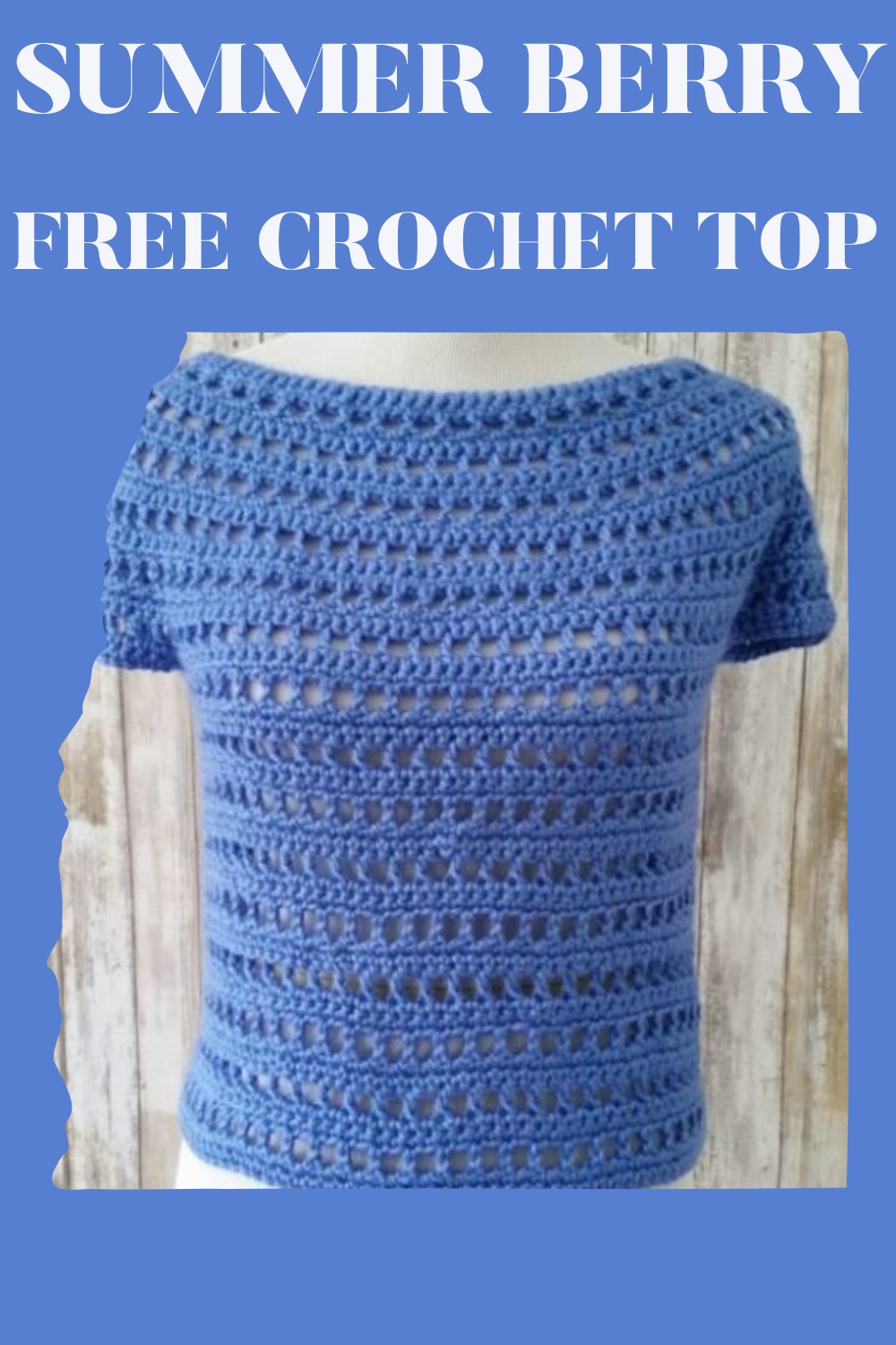 Summer Berry Free Crochet Top