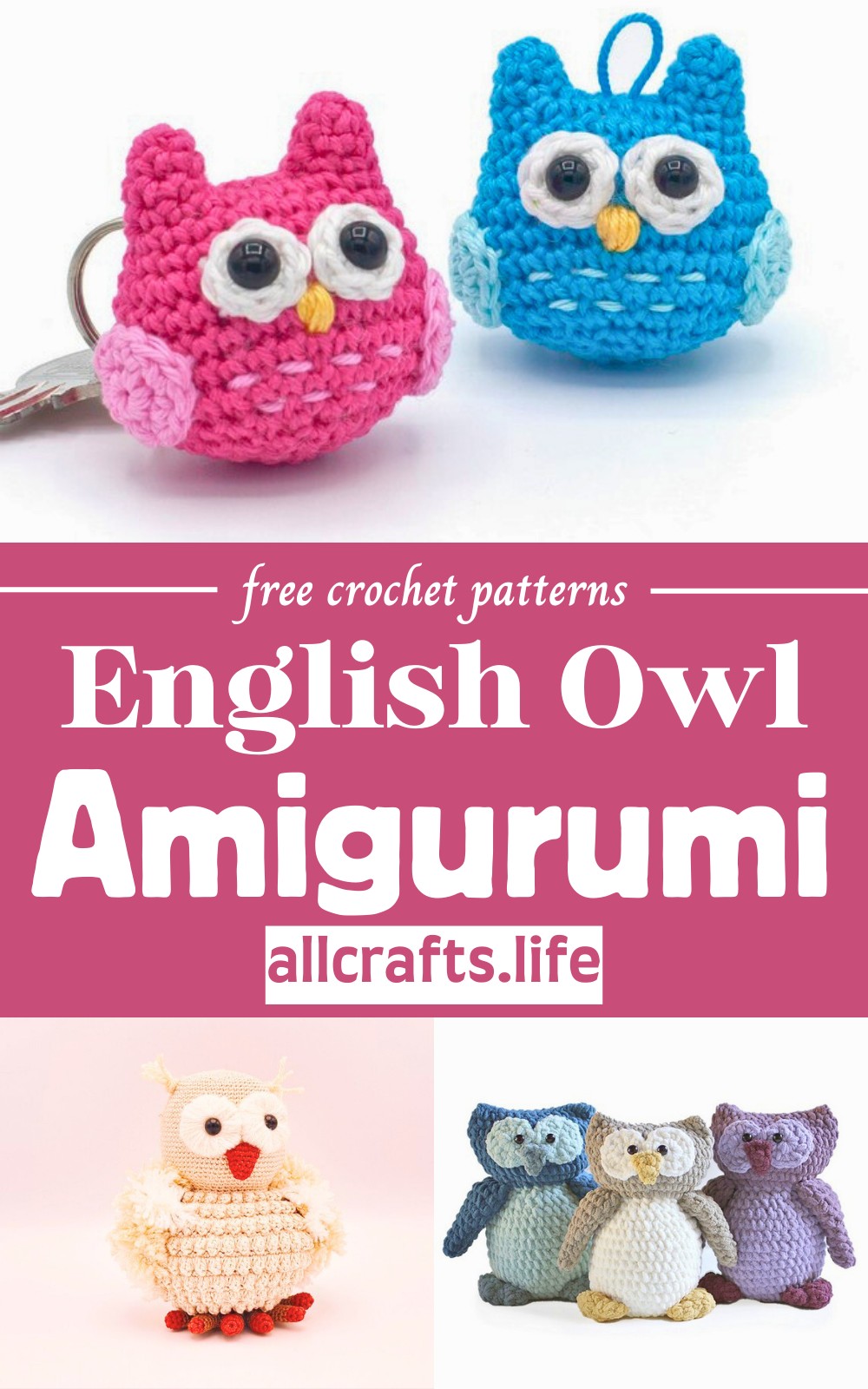 English Owl