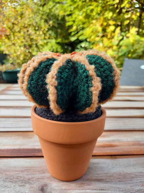 Crochet Fero Cactus Pattern