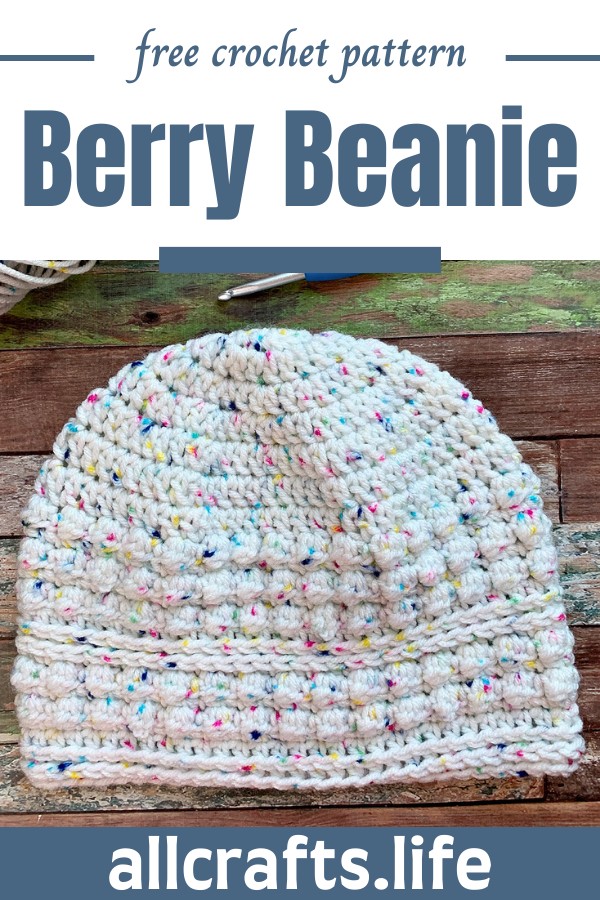 Crochet Berry Beanie Pattern