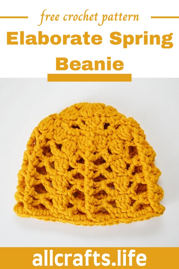 Crochet Elaborate Spring Beanie Pattern