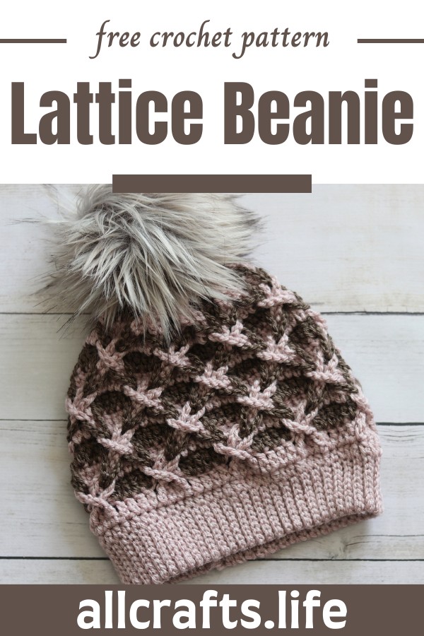 Crochet Lattice Beanie Pattern