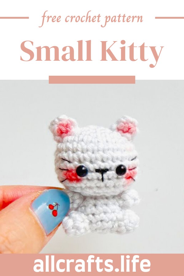 Crochet Small Kitty Amigurumi