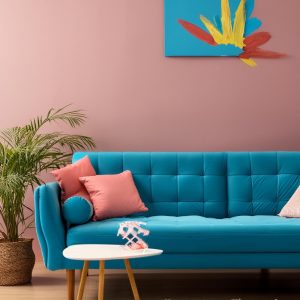 Blue Couch Living Room Ideas