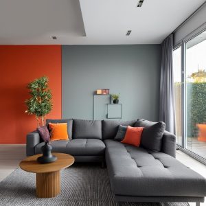 Dark Gray Sofa Living Room Ideas