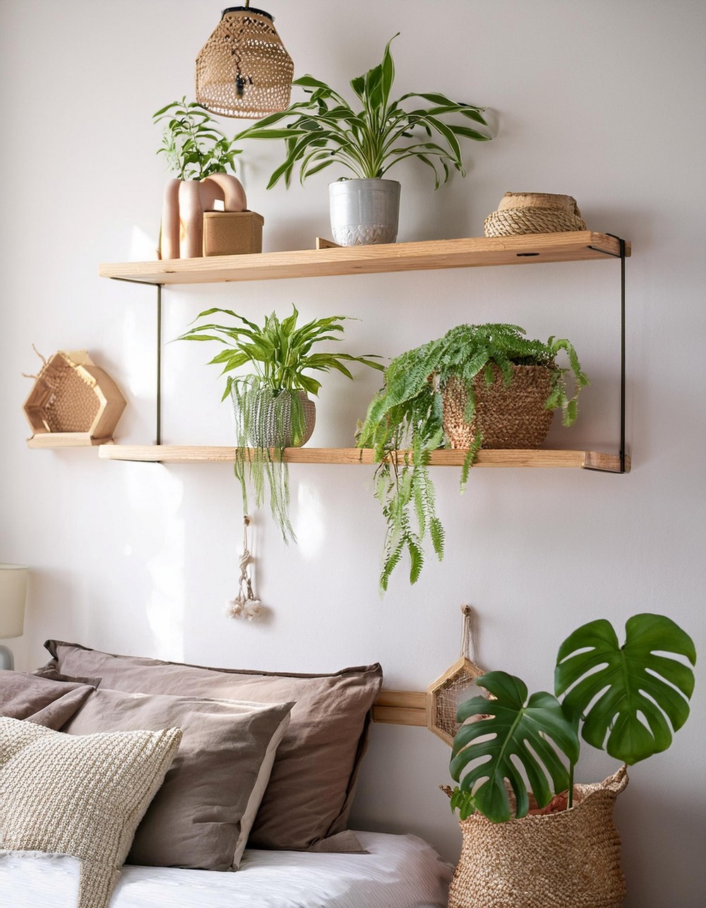 Floating Shelves with Plants