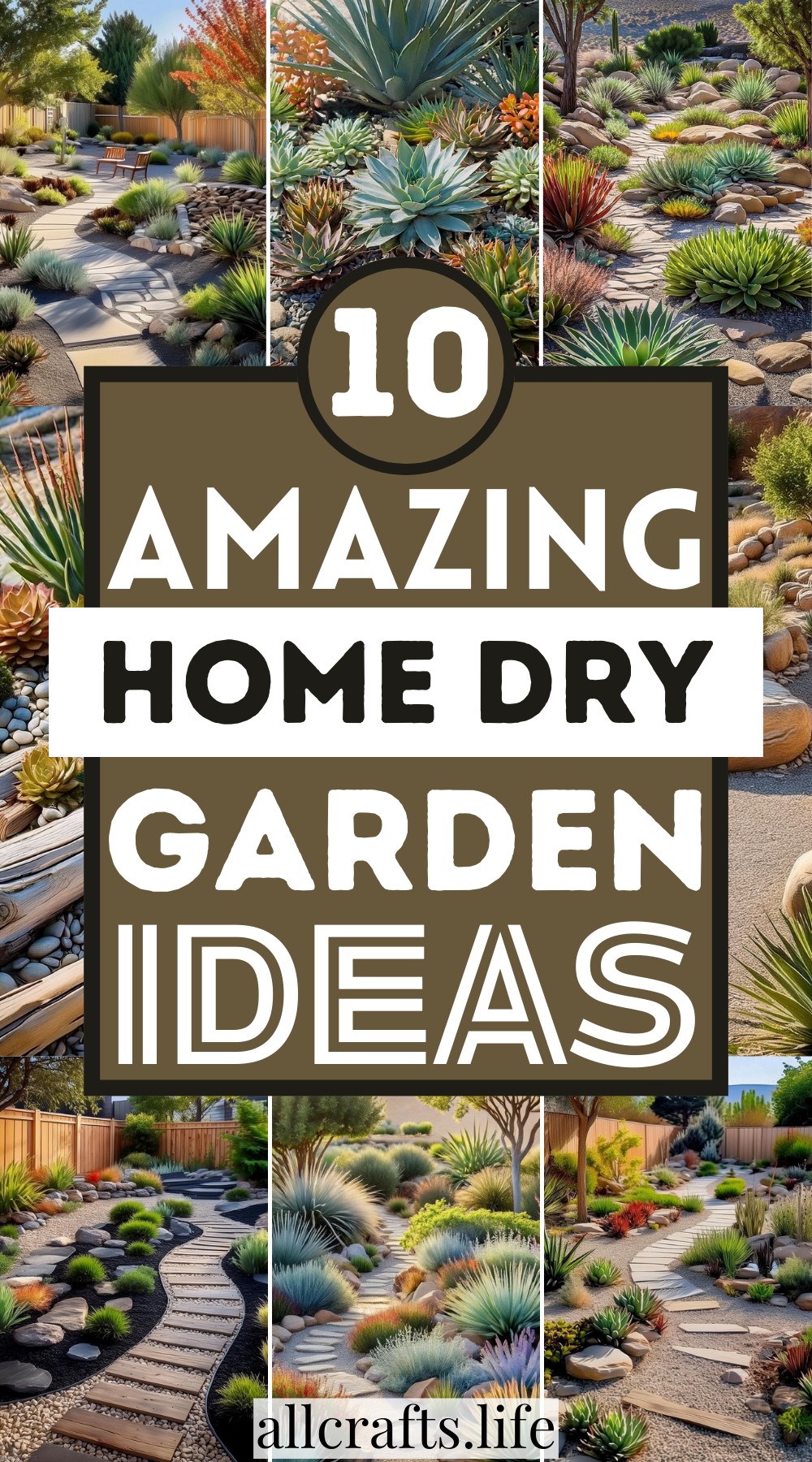 Amazing Home Dry Garden Ideas