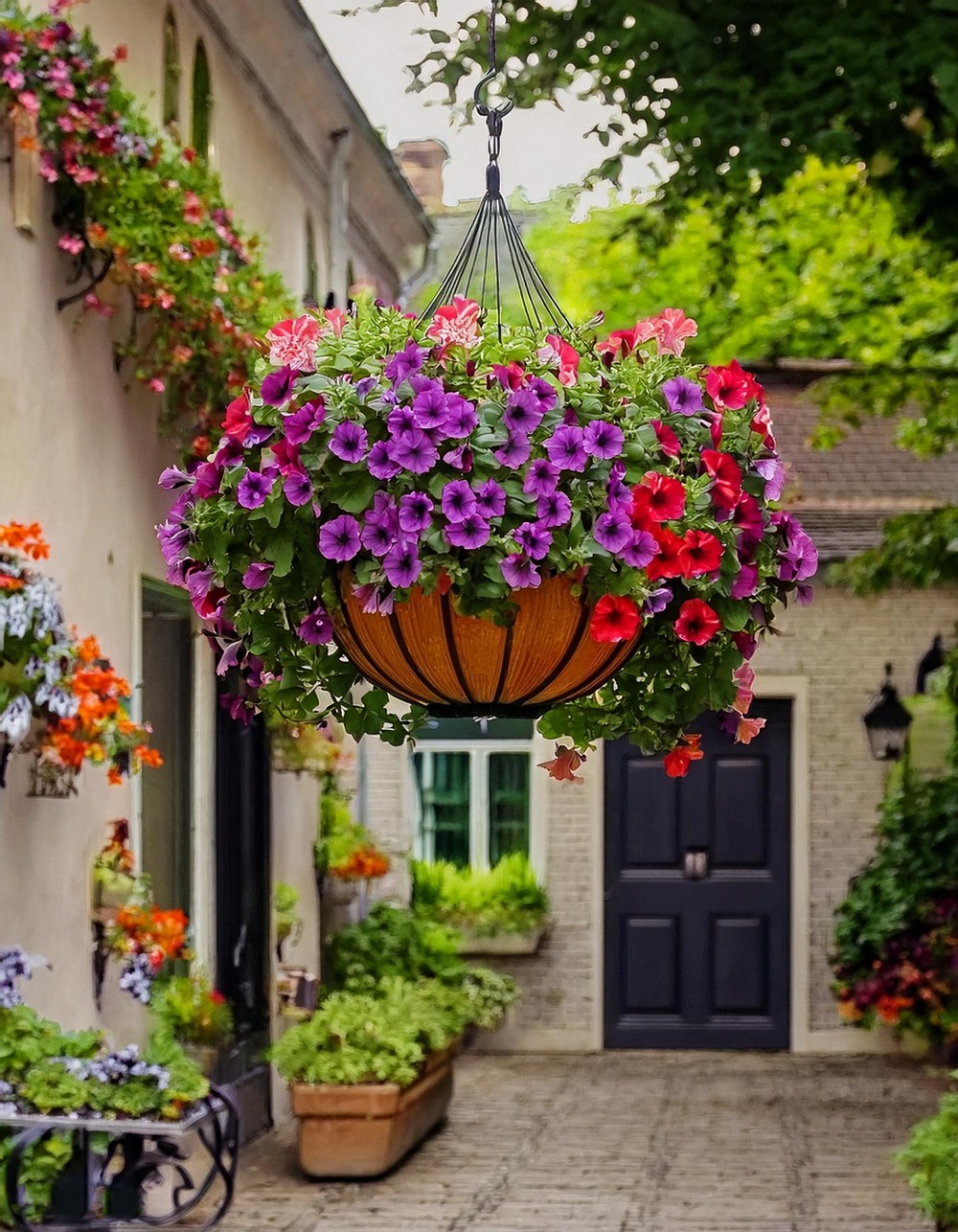 Hanging Basket Garden