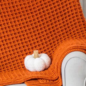 Crochet Waffle Stitch Blanket Pattern